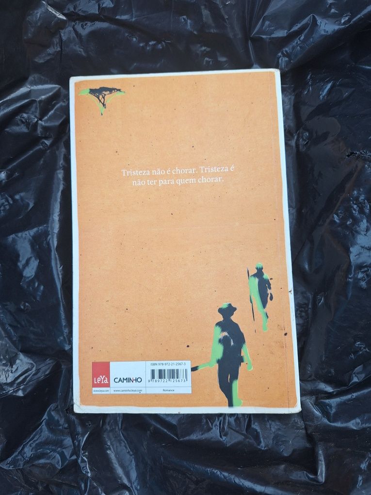 A confissão da leoa de Mia Couto