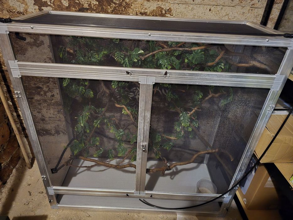 Terrarium dla kameleona