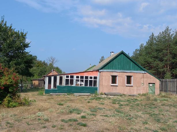 Дом дача в селе Спиваковка