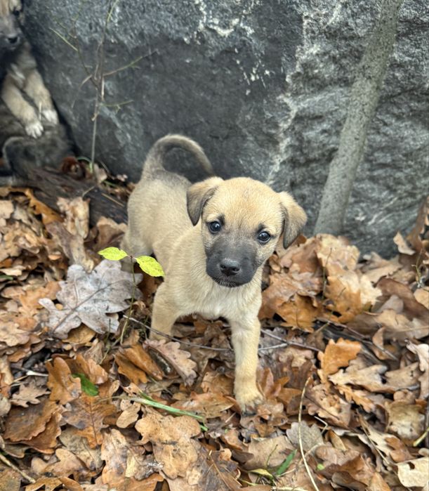 Хлопак, два місяці