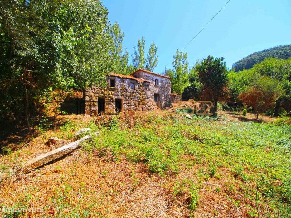 Quinta com Ribeiro e casa para restaurar - Terreno de cultivo