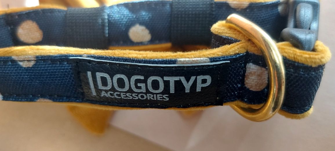 Nowa karmelowa  obroża w groszki  z kokardką DogoTyp  S 26-40 cm