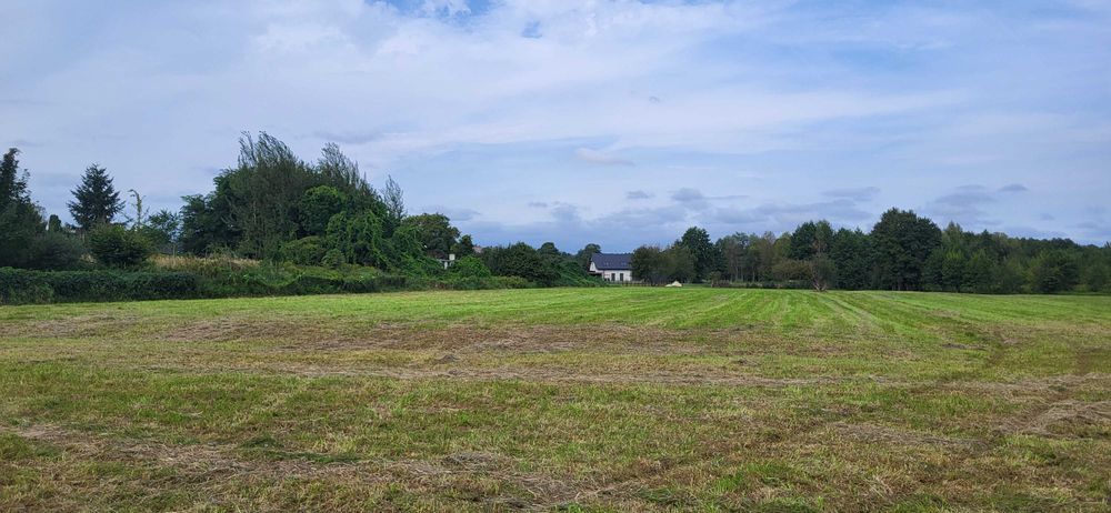 Sprzedam łąkę we wsi Raków