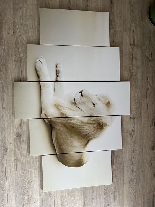 Obraz na ścianę w częściach 100 x 155 cm