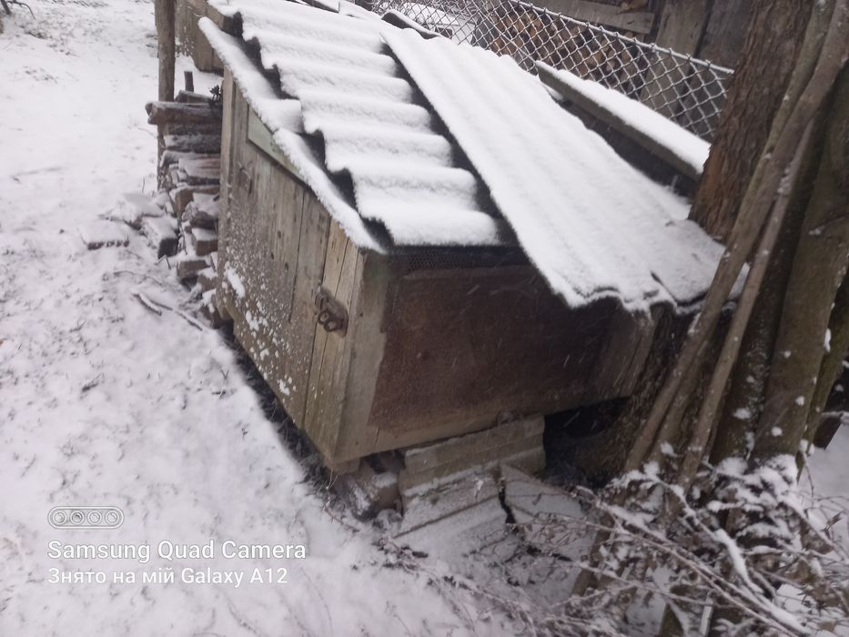 Клітки для кролів