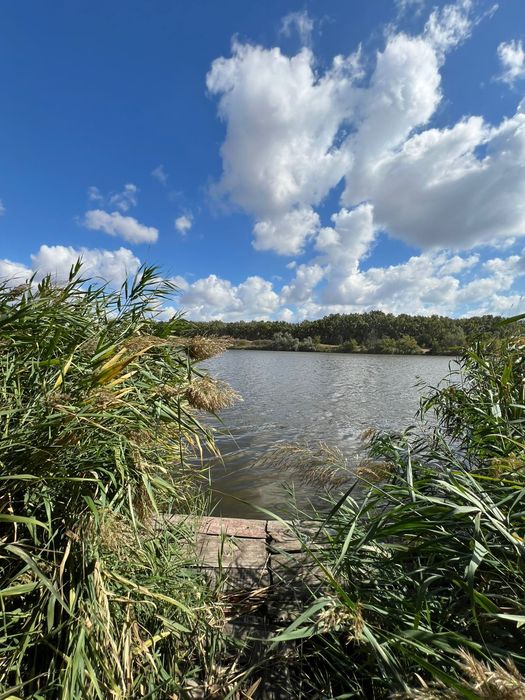 Продаётся дом у озера, пригород Черноморска.