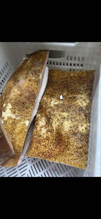 Мʼясо Свинина Телятина Сало Домашнє