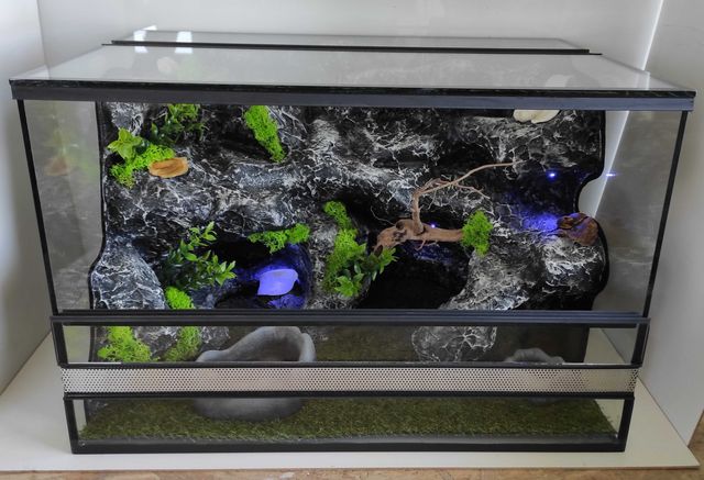 Terrarium dla gekona lamparciego, węża, TW40S30O, AquaWaves