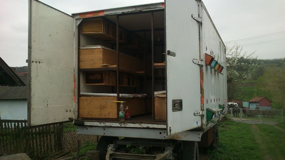 Бджолопавільйон з бджолами