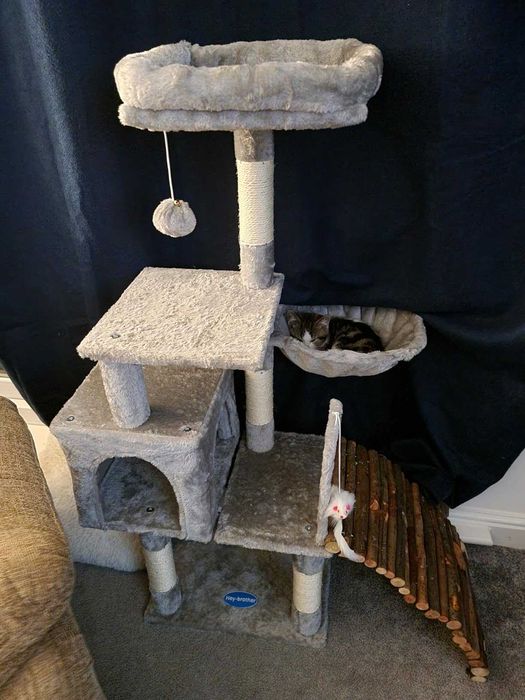 Drapak dla kota z zabawką, wieża dla kotów , domek dla kota, NOWY