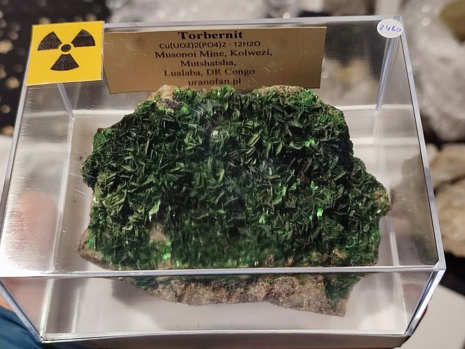 Minerały do kolekcji uranowe Torbernit