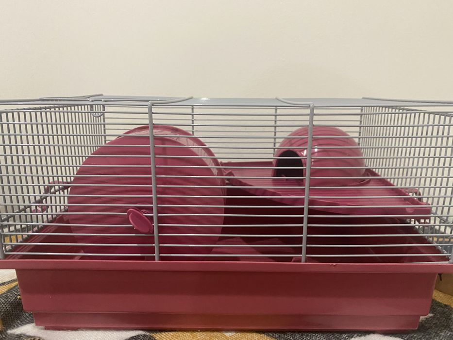 Gaiola para Hamster, roedor