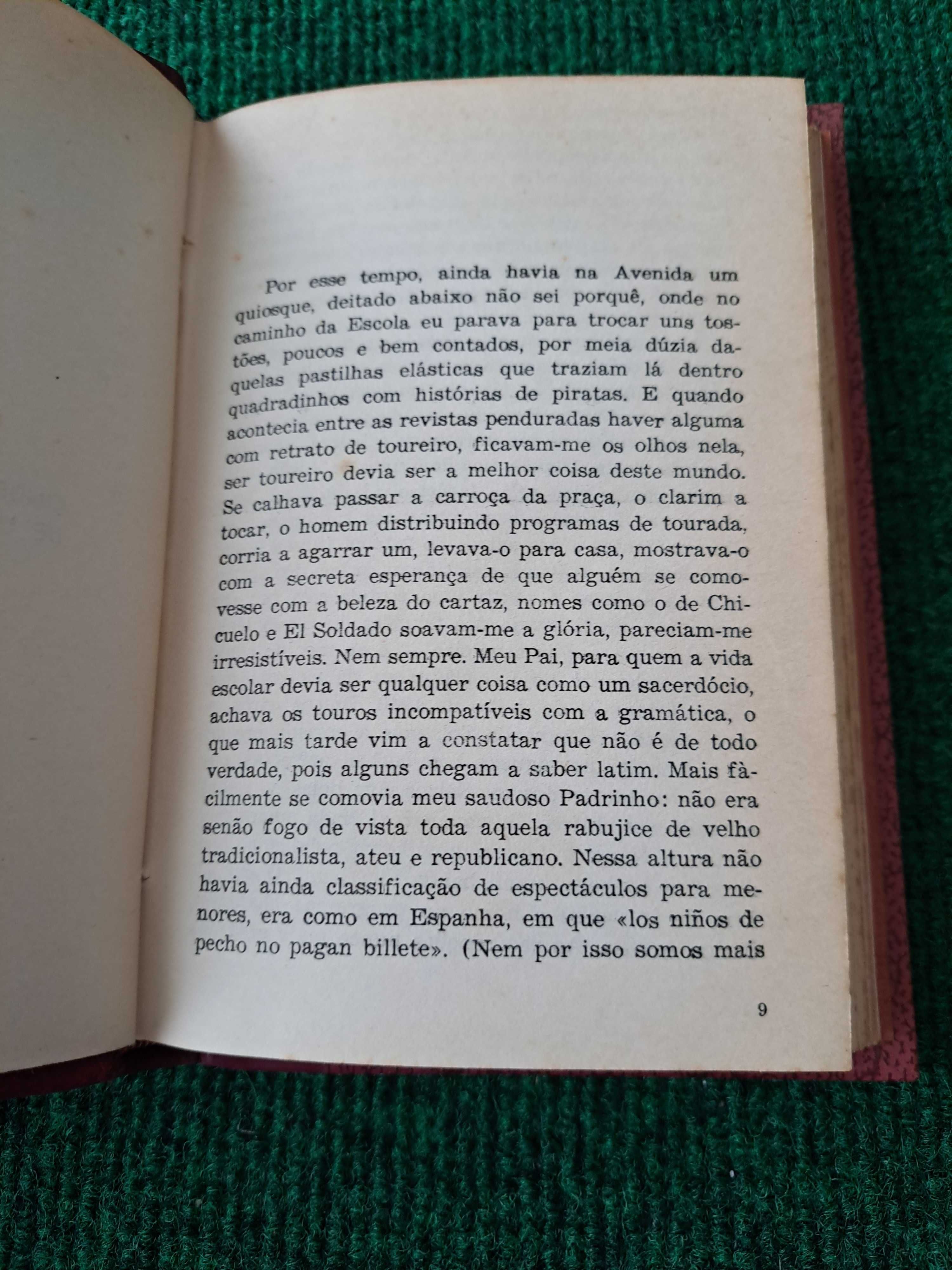 Ao Sol da Ibéria (Crónicas vagamente taurinas) - Solilóquio