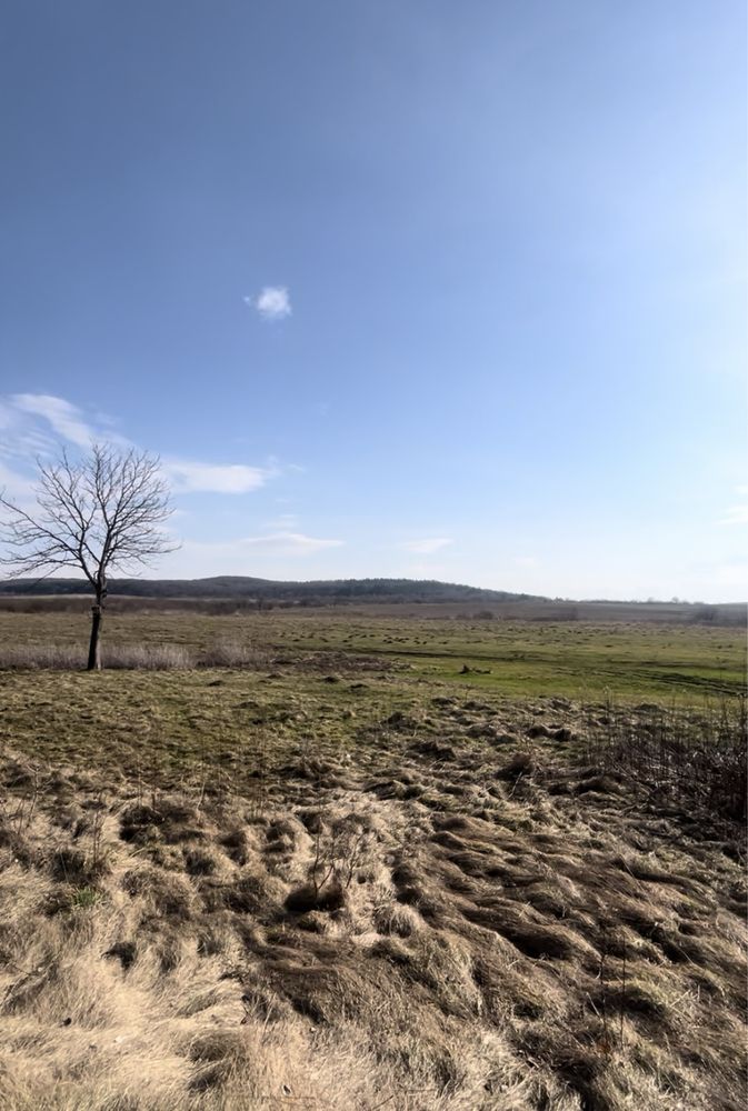 Земельна ділянка в с.Берегове