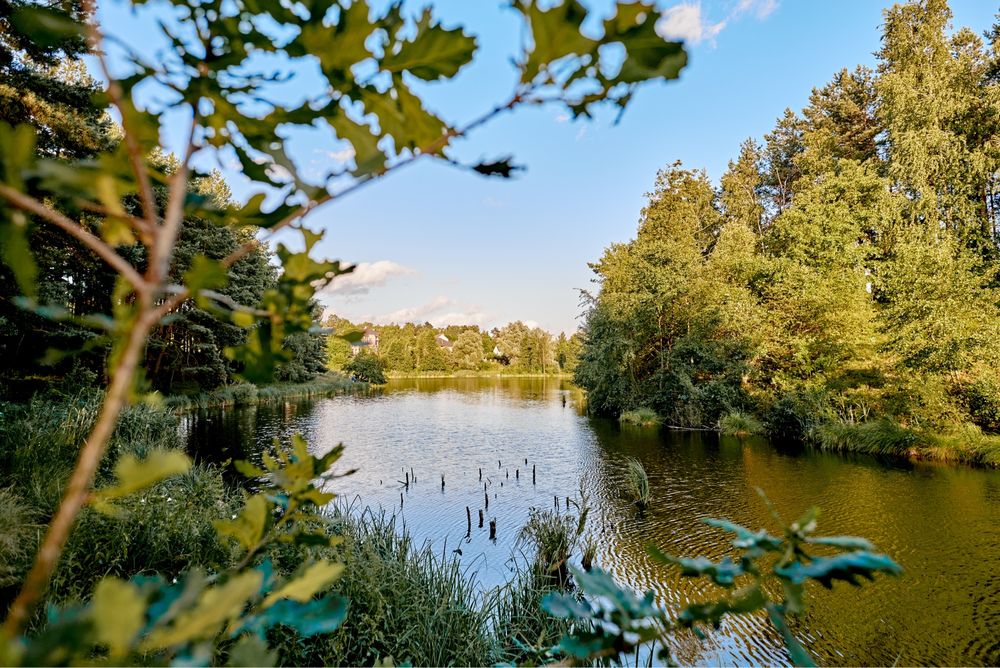 Подобова оренда будинку біля озера та лісу Koshara_chalet