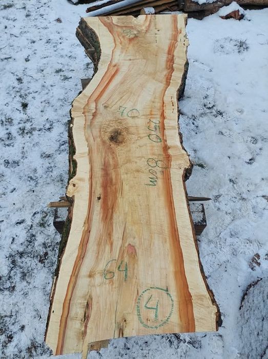 Plastry Dębowe Robinia i Wiele innych