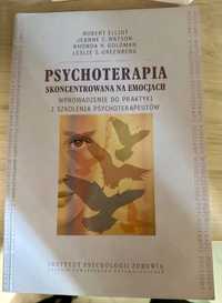 Psychoterapia skoncentrowana na emocjach. Wprowadzenie