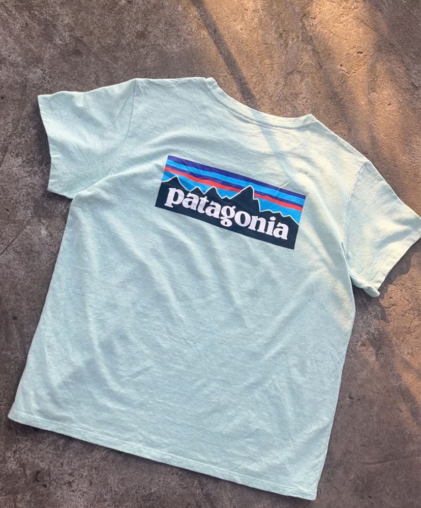 Футболка patagonia