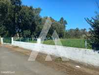 Terreno situado em zona calma em Alquerubim, Albergaria-a-Velha