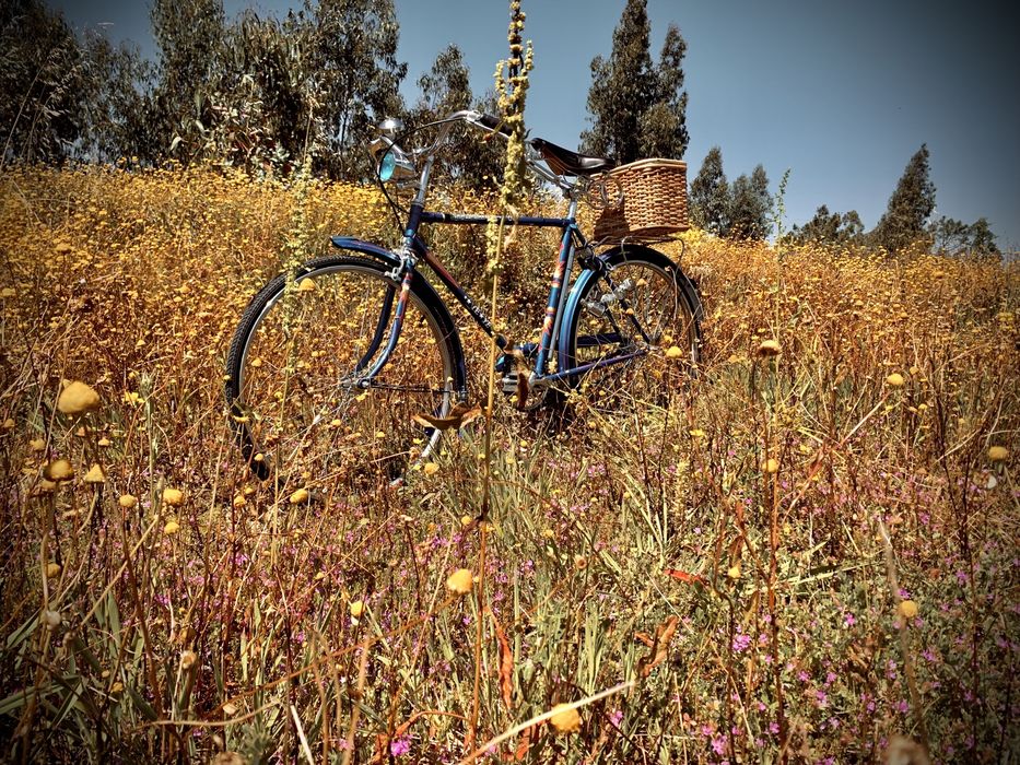 Bicicleta antiga pasteleira yéyé (sangal)