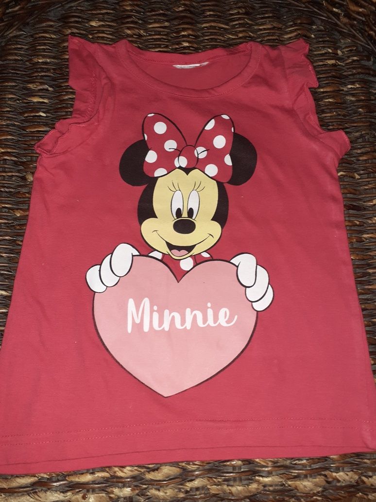 T-shirts varias minnie/unicórnio/ patrulha pata