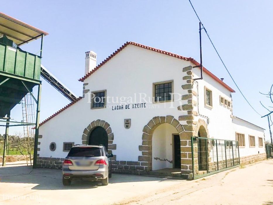 Lagar de azeite completamente renovado