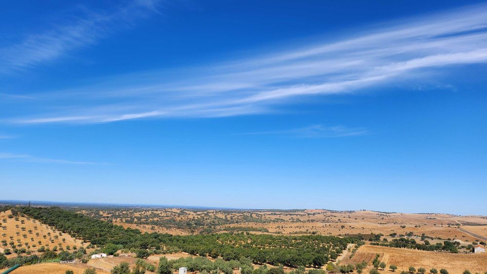 Charmosa vivenda alentejana com quintal e vista