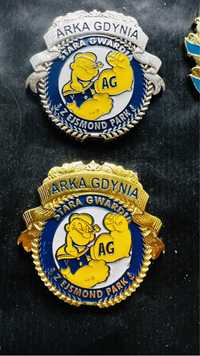 Odznaki Arka Gdynia