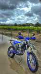 Sherco SEF 300 R 2024 Factory