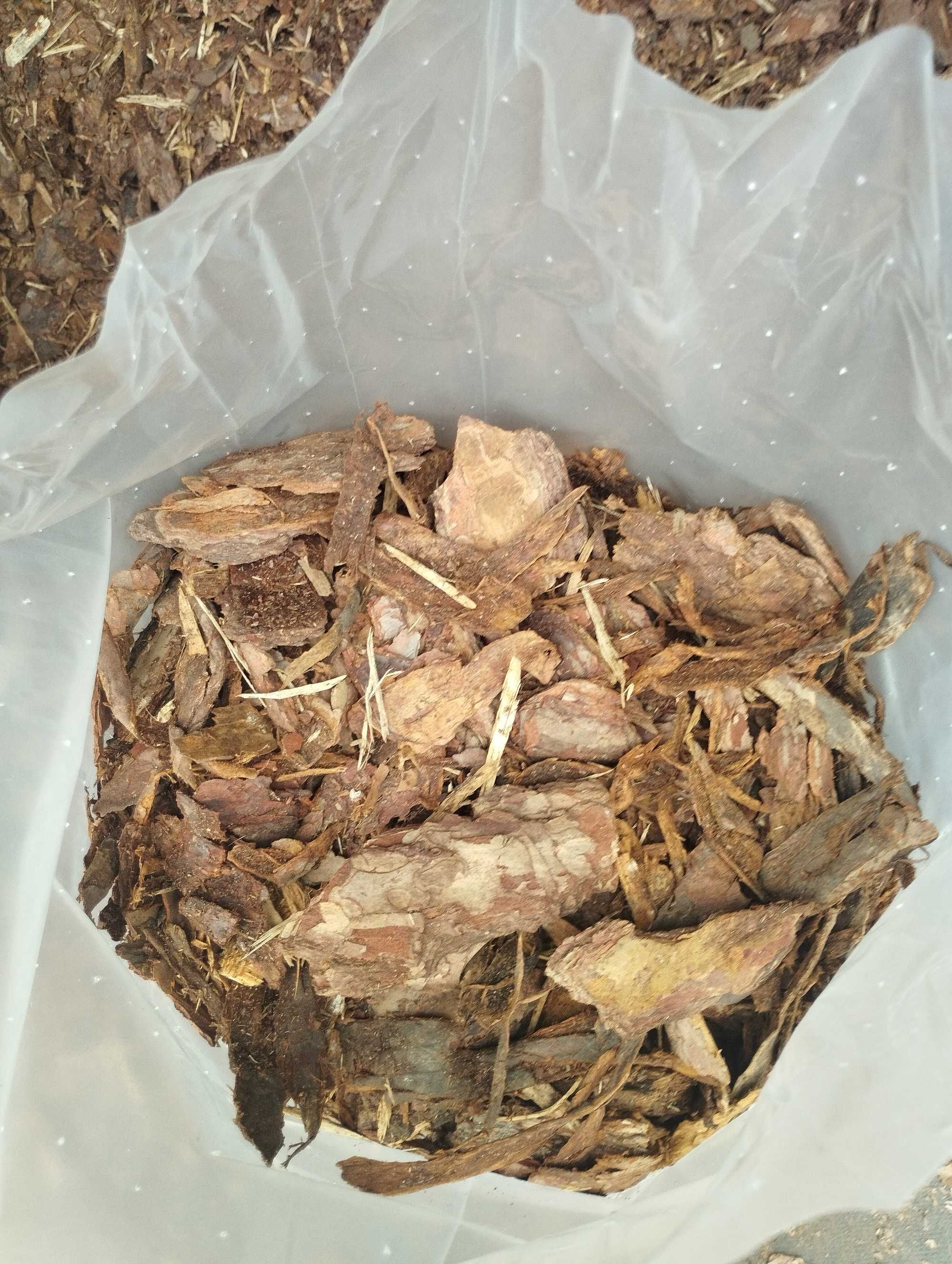 Kora sosnowa (nie sortowana) workowana Dostawa Gratis