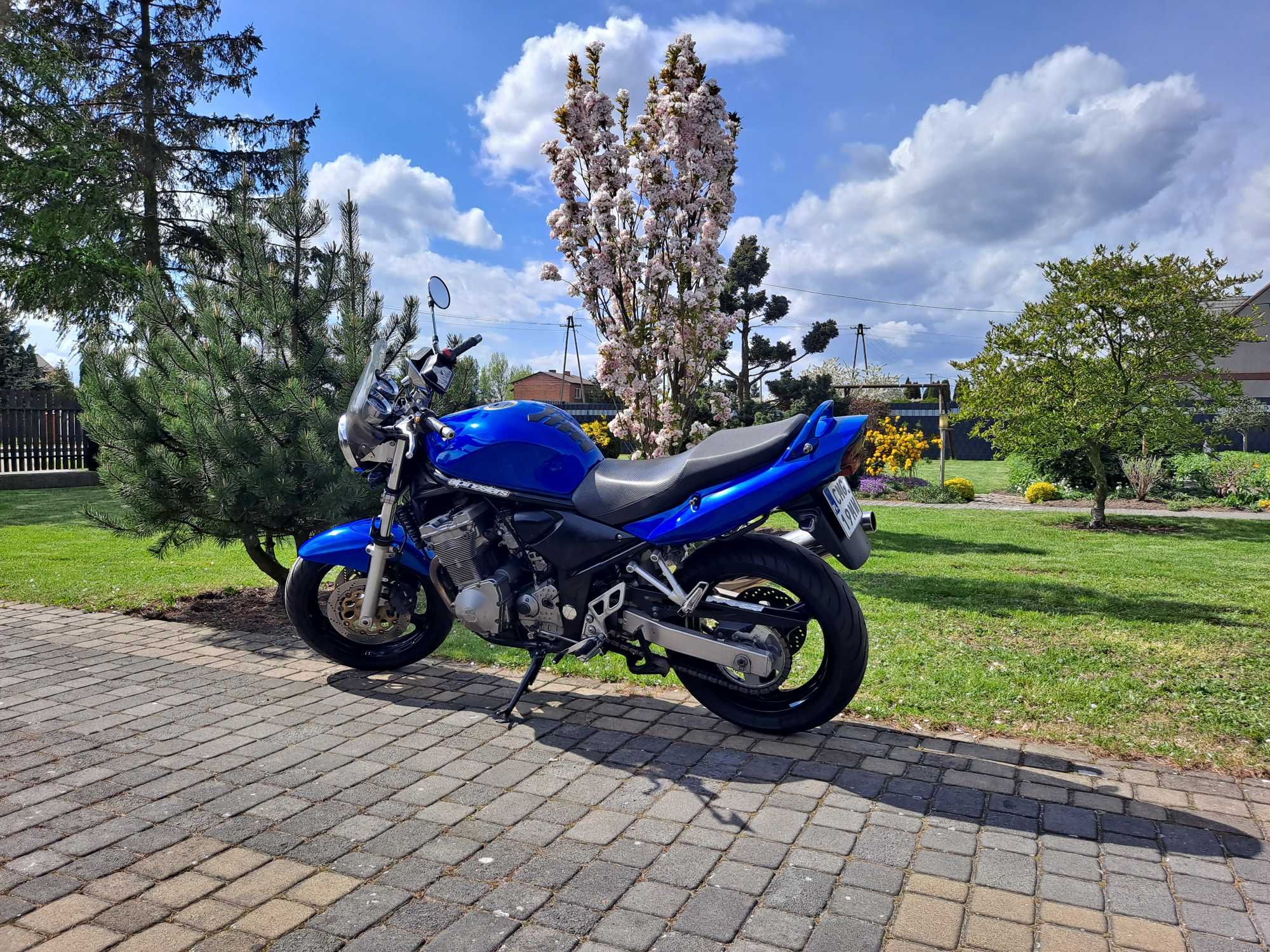 SUZUKI GSF 600N 2005