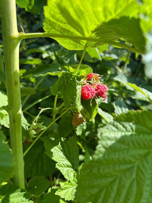Будинок поряд водойми! Ідеально!