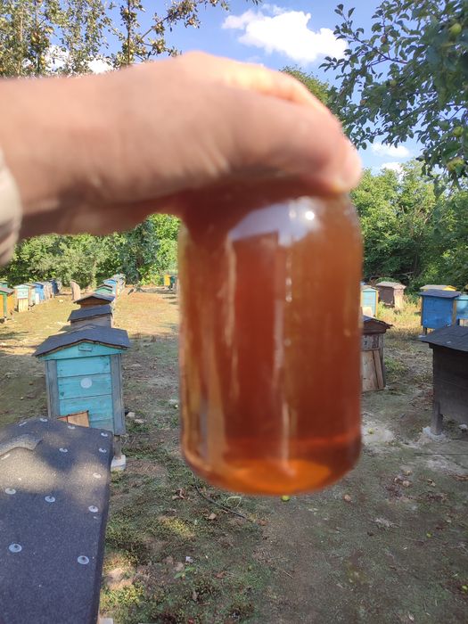 Wysyłka!! Miód Lipowo Faceliowy
