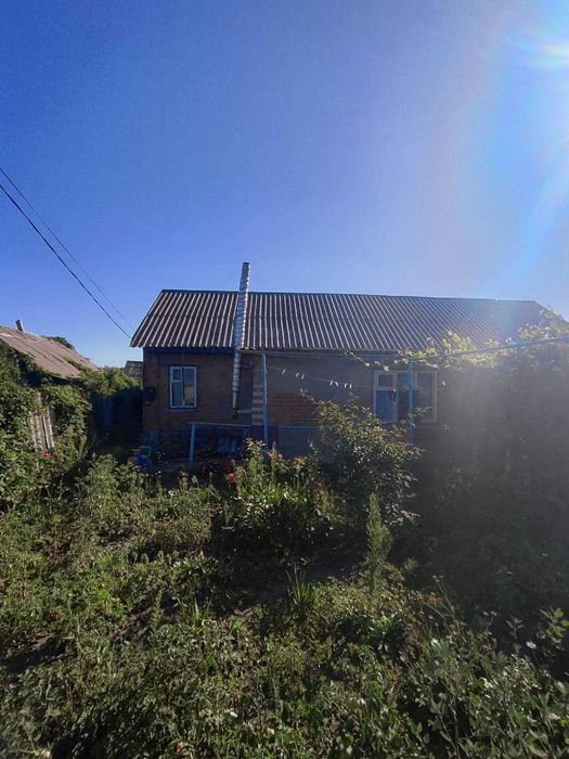 Чутове, окремий будинок з родючою земельною ділянкою.