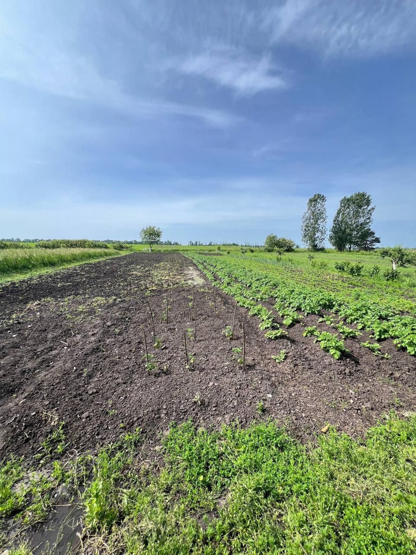 Будинок продаж . С.Тарасівка