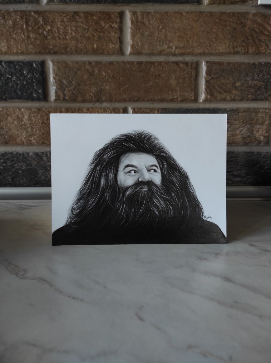 Rysunek Hagrid Portret Harry Potter Prezent