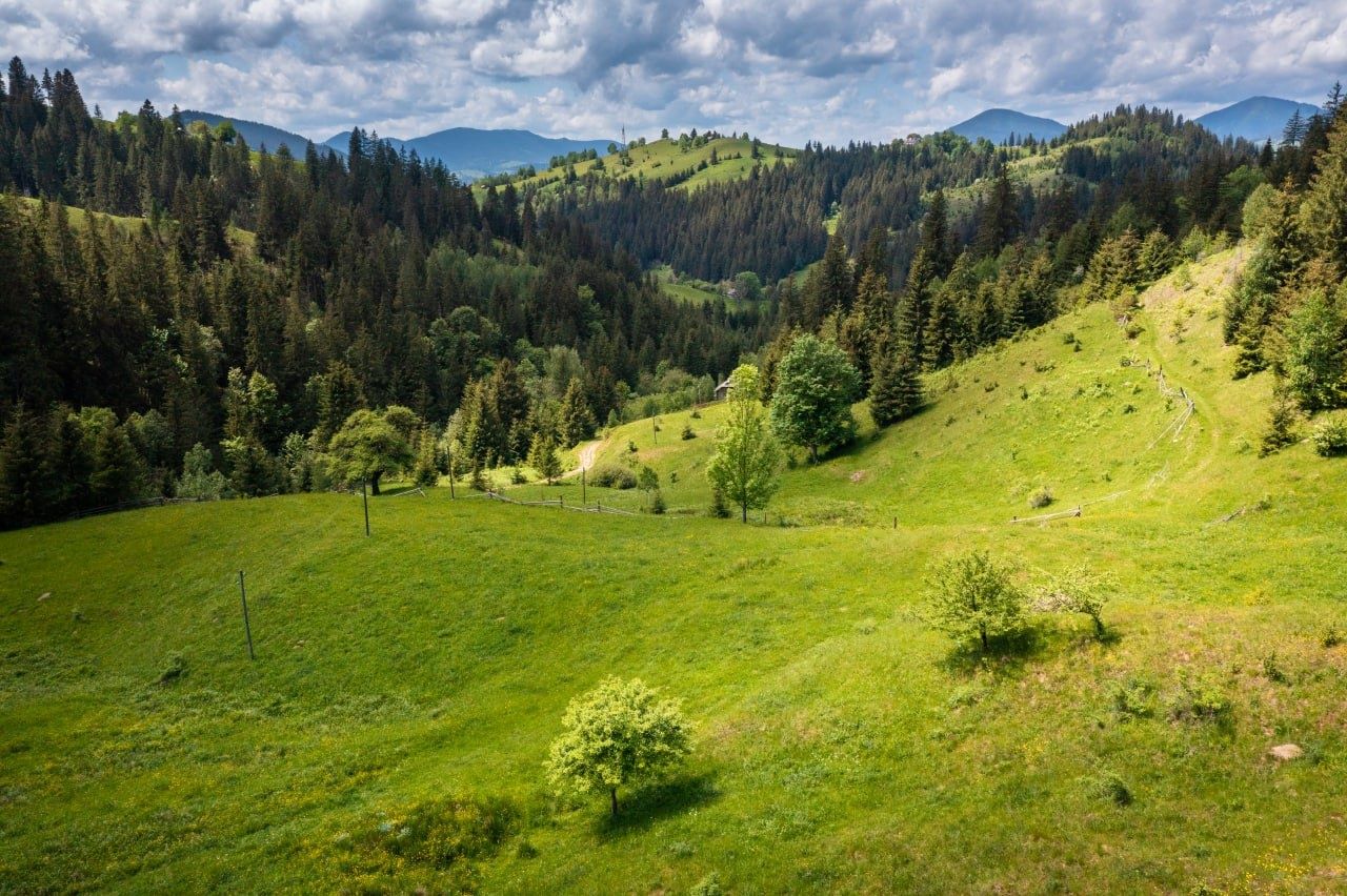 Земельна ділянка площею 40 сот у Верховині