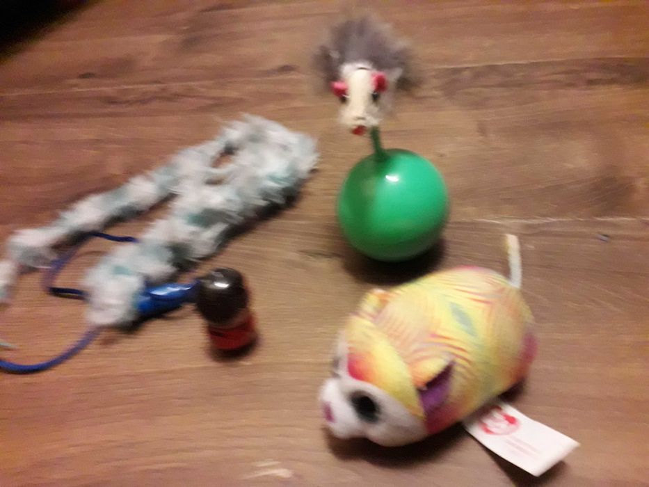 zabawki dla kota zestaw rzeczy