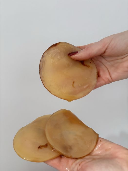 Grzybki kombucha, kombucza, scooby, gotowe do uzycia! 2 sztuki