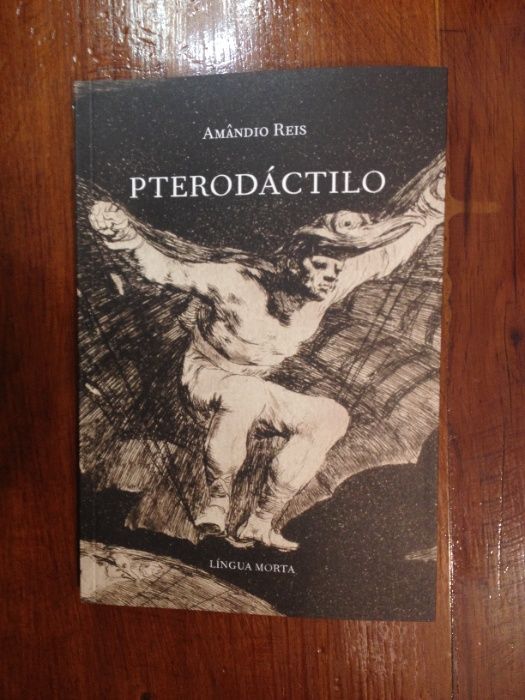 Amândio Reis - Pterodáctilo