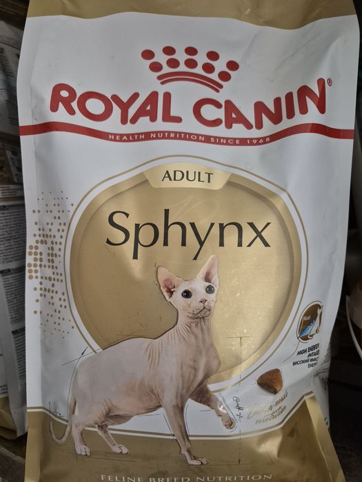 Royal canin sphynx