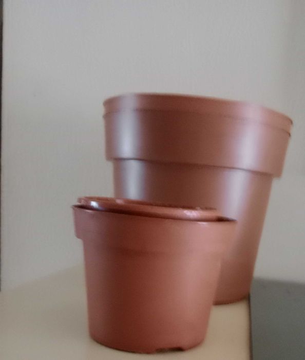 Conjunto  4 Vasos para Sementes e Plantas,  normais, plástico - Novos