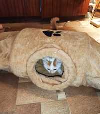Trixie тунель ігровий для кішок і цуценя б/вт