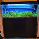 Akwarium opti set 240l z wyposażeniem
