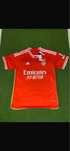 Camisola bemfica 23/24