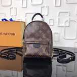 Louis Vuitton palm springs mini