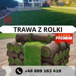 Trawa z rolii rolowana sprzedaż transport montaż