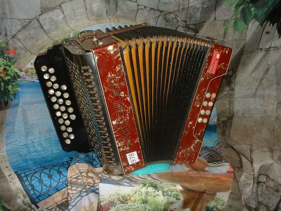 Concertina Avenda N . 978