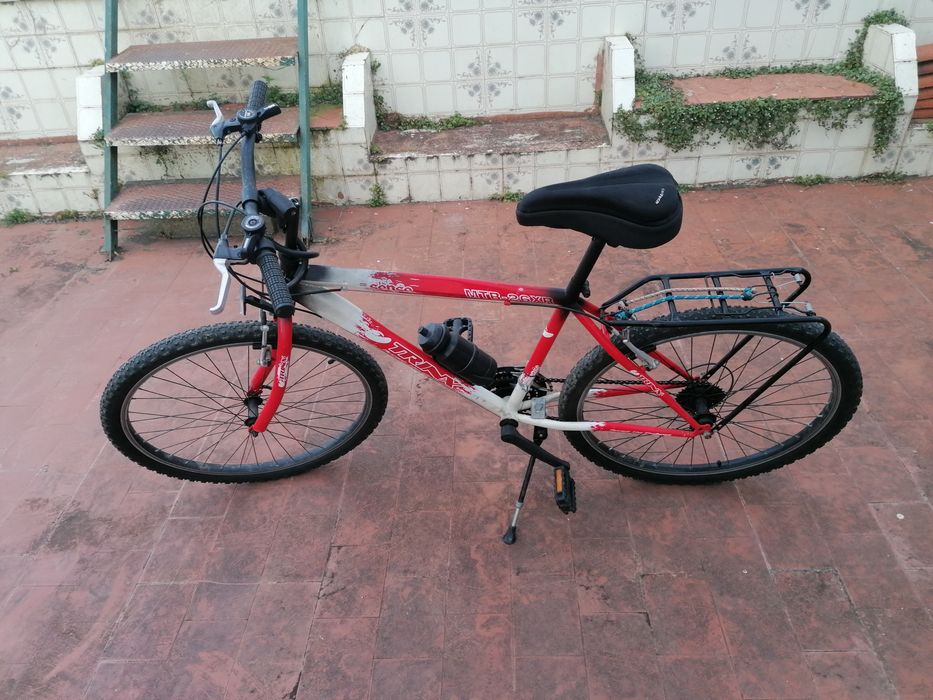 Bicicleta com apoio traseiro para carga