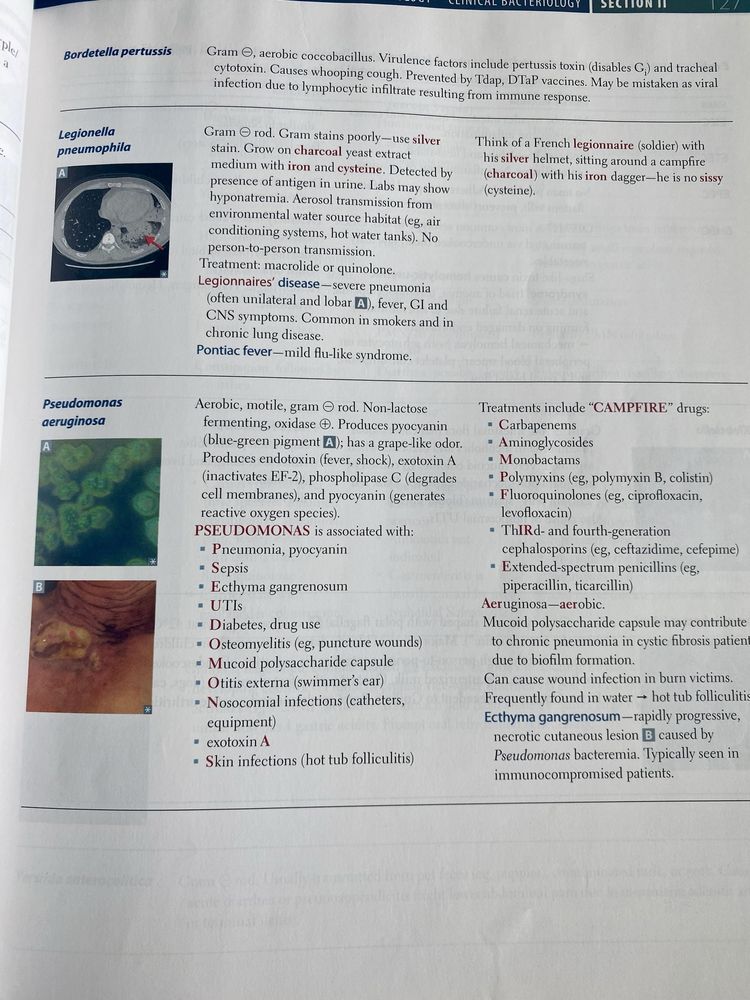 usmle step 1 book